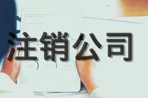 苏州工业园区公司注销需要提供哪些材料！
